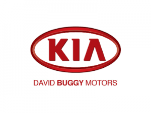 David Buggy Motors
